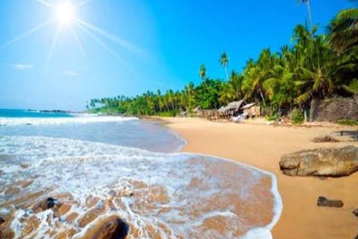 பட்டிக்களோவில் கரையில் கண்டுபிடிக்கப்பட்ட அடையாளம் தெரியாத ஆணின் உடல்
