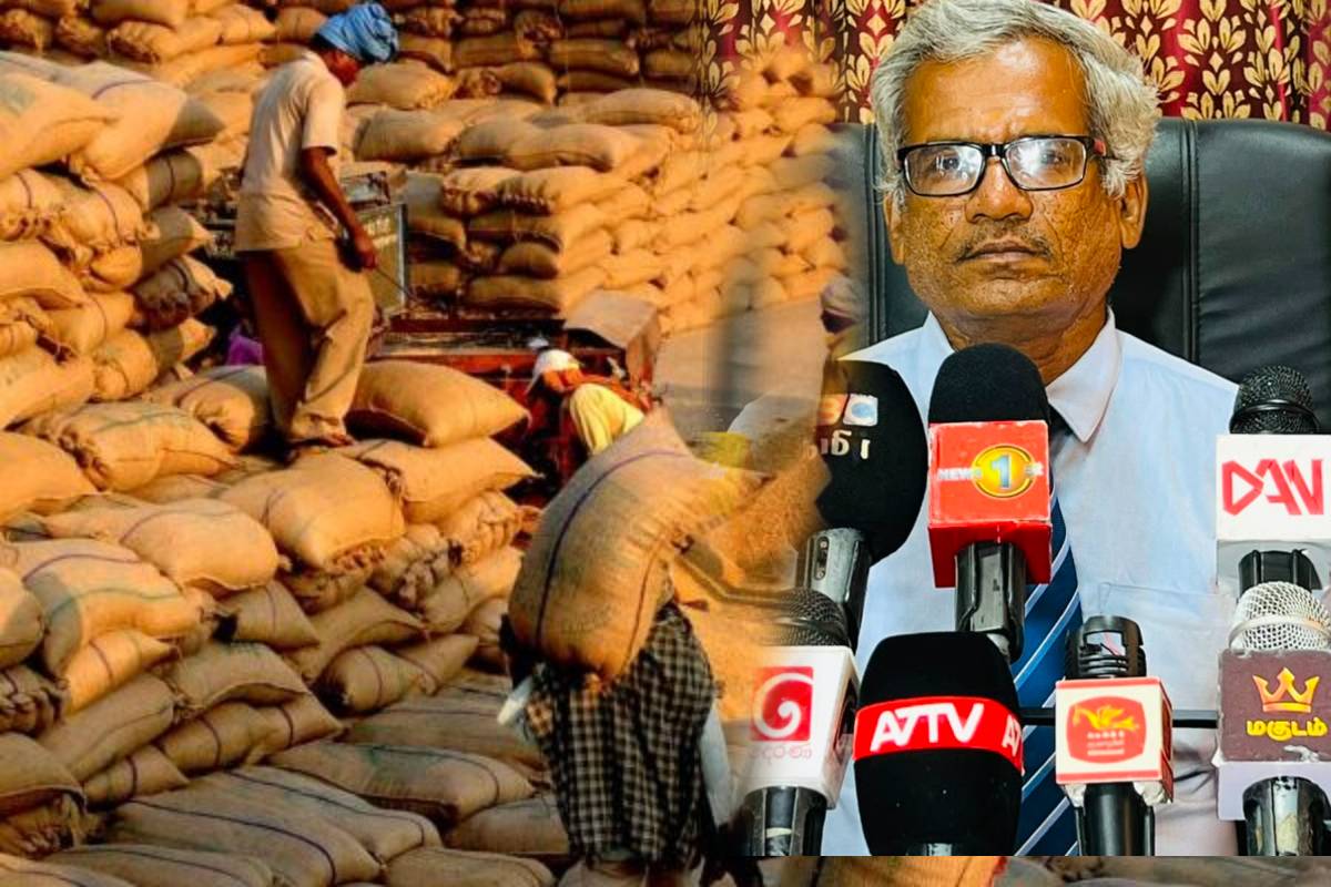 இலங்கை மன்னார் மாவட்டத்தில் பெரிய அரிசி கொள்முதல் திட்டத்தை தொடங்குகிறது