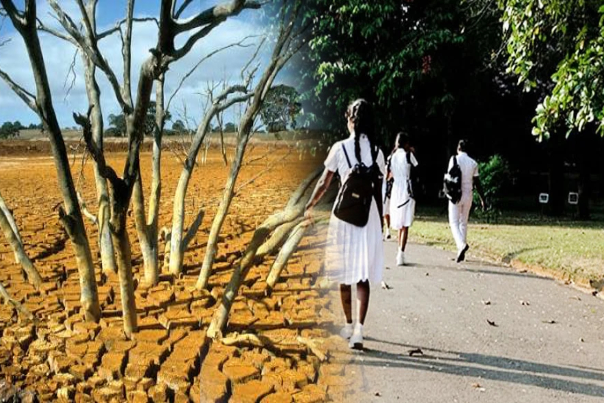 எல் நினோ காலனிலை சுகாதாரத்திற்கு அச்சுறுத்தல்!