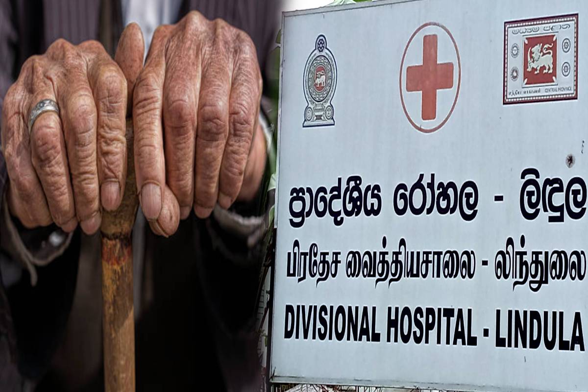 நுவරඑලිය தேயிலை எஸ்டேட்டில் எறும்பு தாக்குதலில் ஒருவர் இறந்து ஏழு பேர் மருத்துவமனையில் அனுமதி