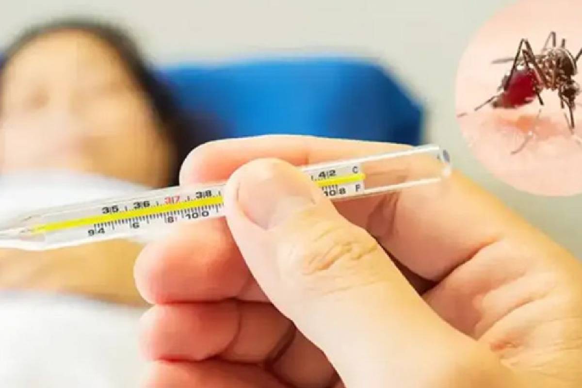 இலங்கையில் டெங்கு நோய் வேகமாக பரவி இந்த ஆண்டு 95,000 தொற்றுநோய் பதிவாகியுள்ளது