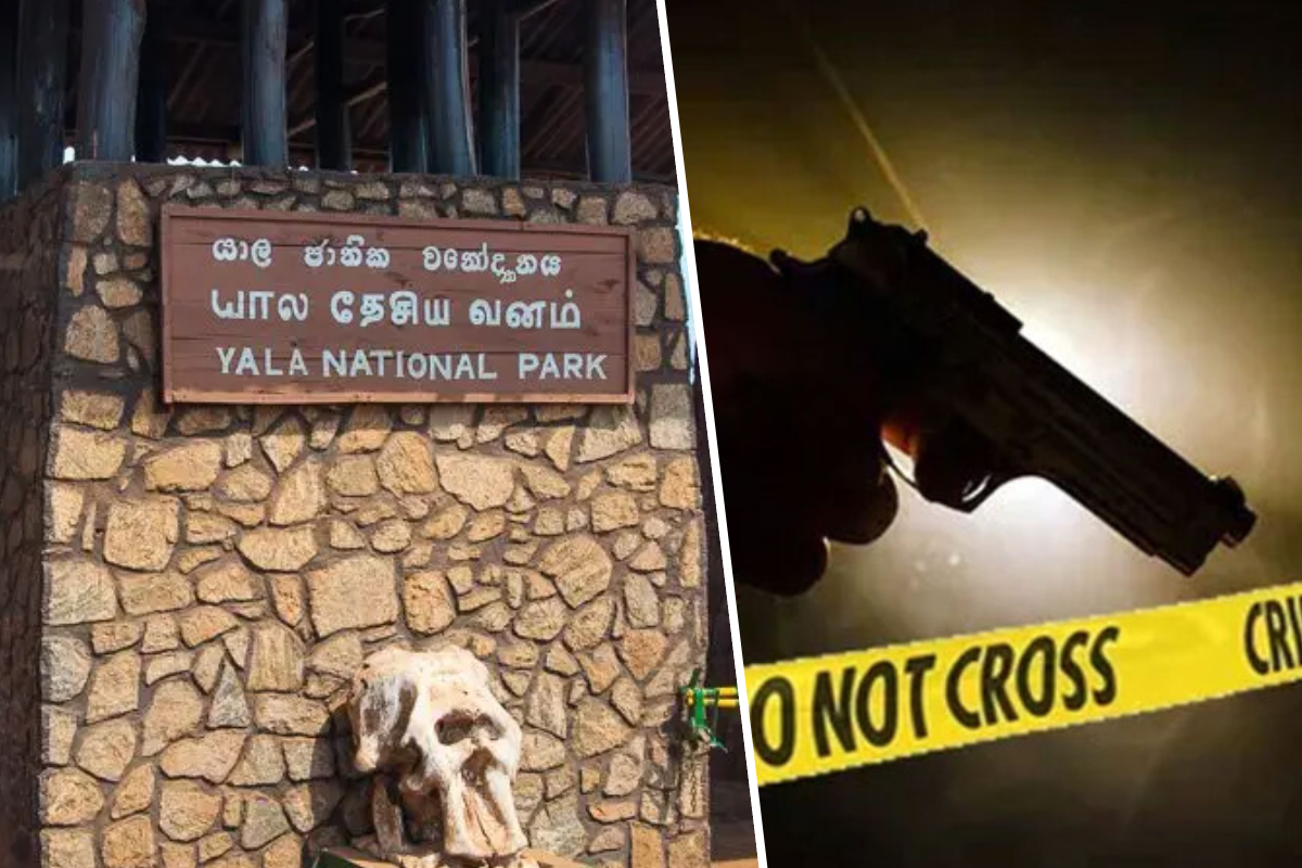 யாला தேசிய பூங்காவில் வனவிலங்கு நடவடிக்கையின் போது துப்பாக்கிச் சூட்டு சம்பவம் - ஒருவர் காயம்