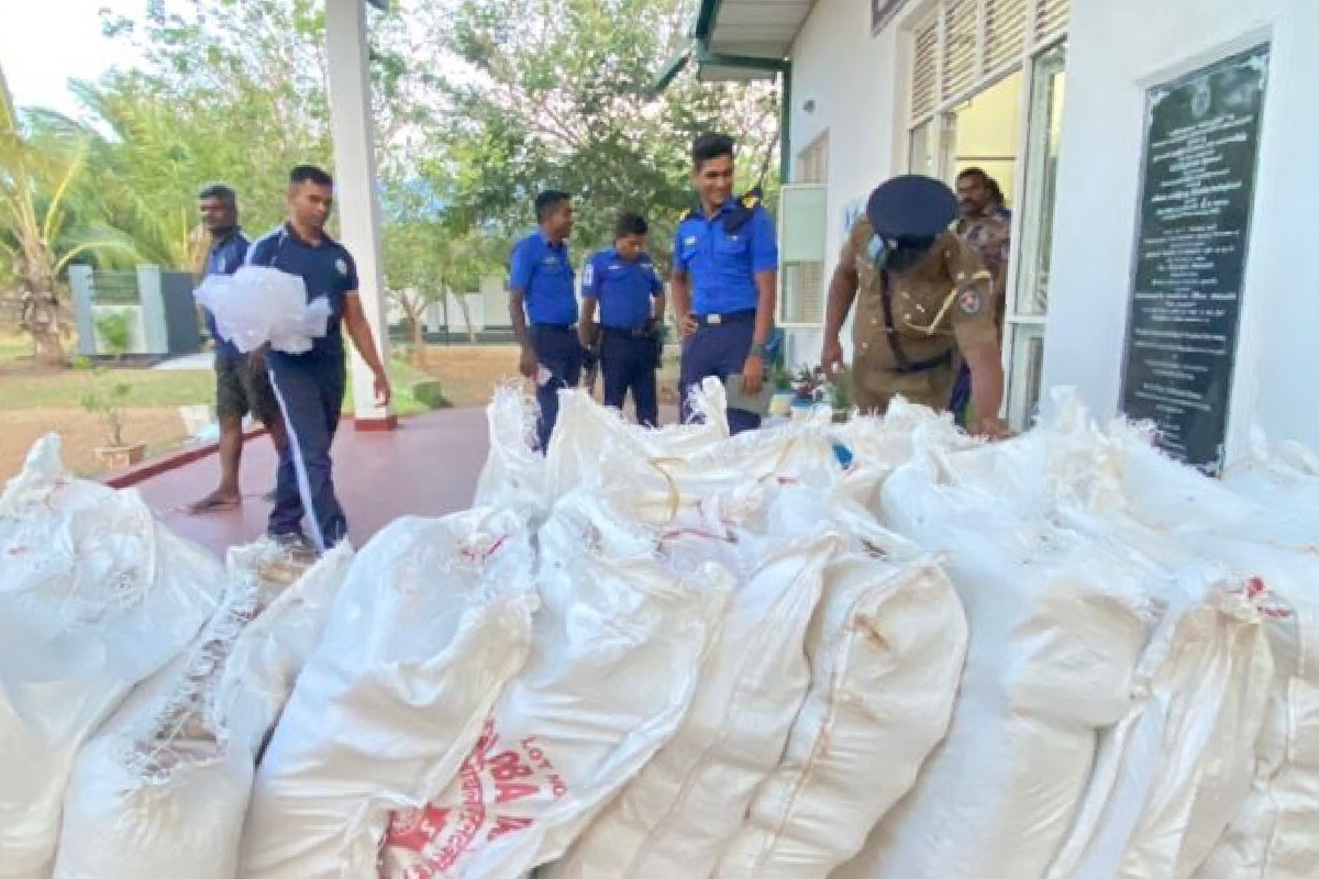 கடற்படை மன்னாரில் 240 கிலோவுக்கு மேல் கடத்தப்பட்ட உலர்ந்த இஞ্சி பறிமுதல் செய்தது