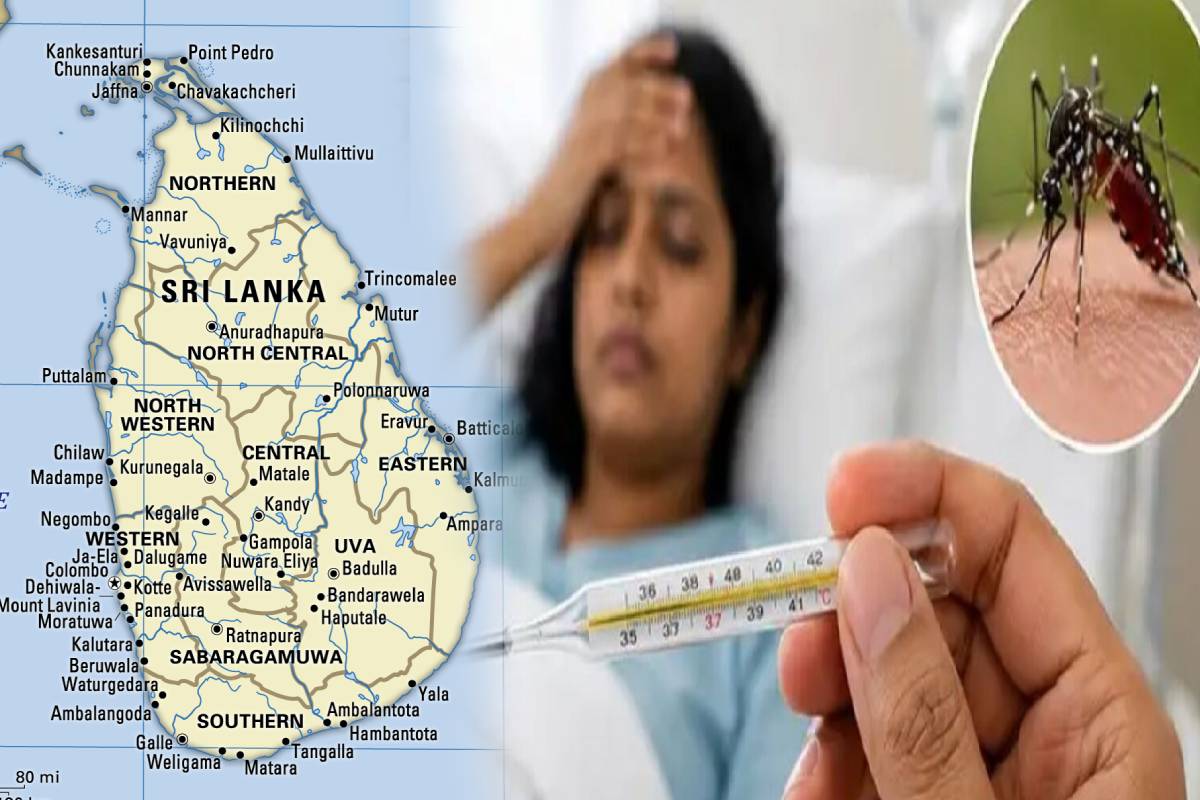 இலங்கையில் டெங்கு நோய் வழக்குகள் 83,000-ஐ ஆட்கொண்டு 61 மரணங்கள் பதிவாயின