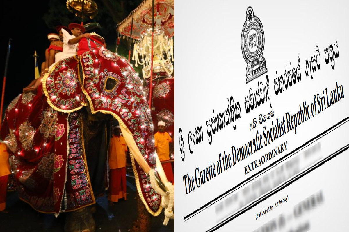மத நிகழ்வுகளுக்கு யானை வழங்குவது தொடர்பில் வர்த்தமானி அறிவித்தல்