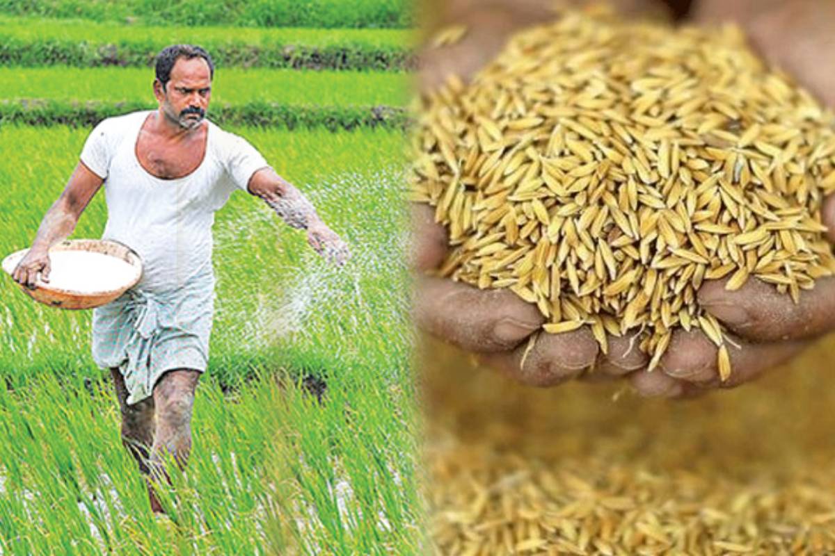 விவசாயிகள் தேர்தல் வாக்குறுதிகளை நிறைவேற்றத் தவறியதாக அரசாங்கத்தை குற்றம் சாட்டுகின்றனர்