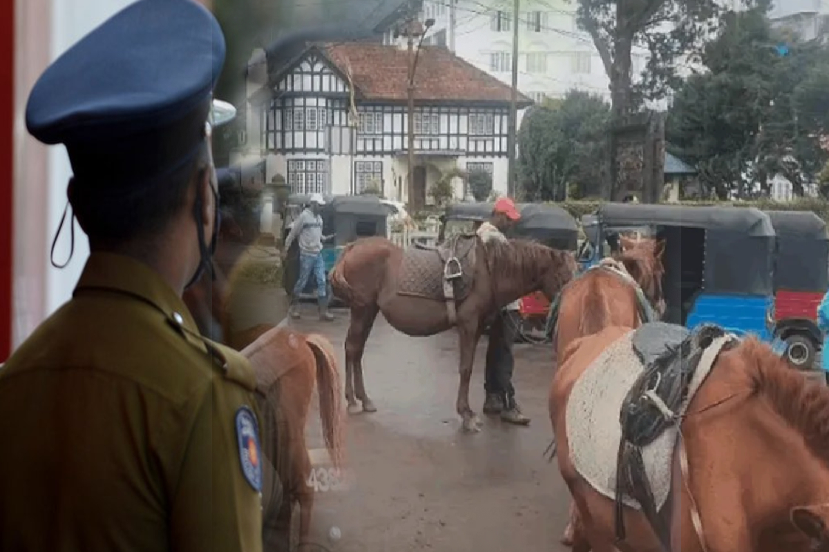 கிரகரி வாவியில் போனியை கொடூரமாகத் தாக்கிய இளைஞர்