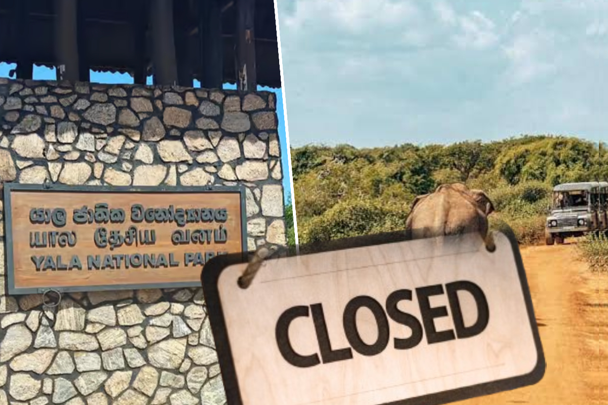 வறட்சி நிலைமைகள் காரணமாக யாല தேசியப் பூங்கா தற்காலிக மூடல்