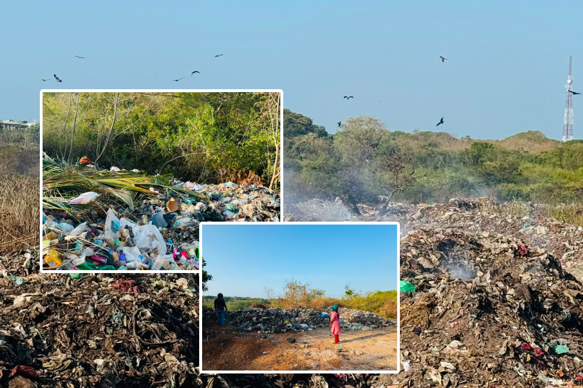 கழிவுகளால் நிரம்பும் கீரிமலை - புனித தன்மையை கெடுக்கும் செயலா என விசனம்