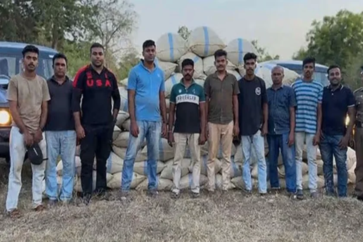 ஹাம்பান்டோட்டায় 1,000 கிலோவுக்கும் அधिक கஞ்சா பறிமுதல்; இருவர் கைது