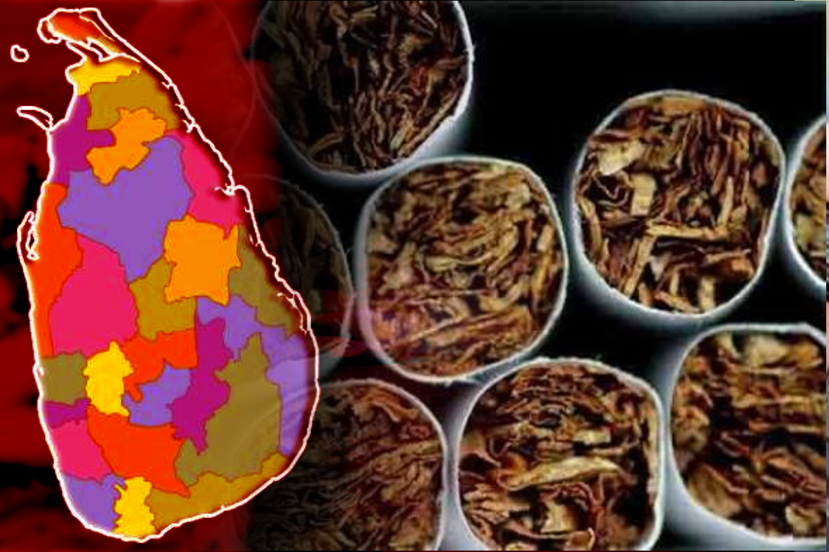 வரி உயர்வைத் தொடர்ந்து இலங்கையின் சிகரெட் உৎপादन 32% வீழ்ச்சி