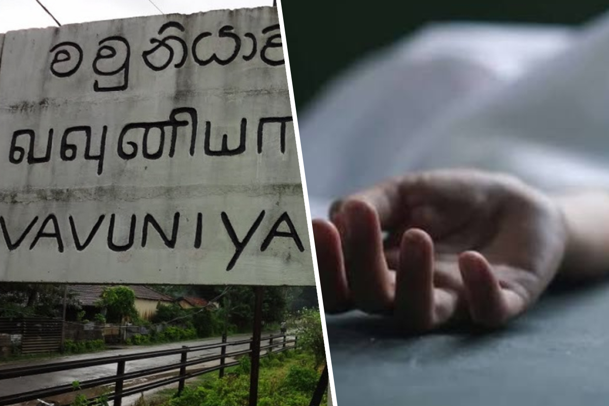 வவுனியாவில் மரத்திலிருந்து விழுந்து மனிதர் உயிரிழந்தார்