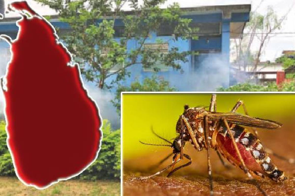 அதிக ஆபத்துள்ள சுகாதார அதிகாரி பிரிவுகள் அடையாளம்! பொதுமக்களுக்கு முக்கிய அறிவுறுத்தல்