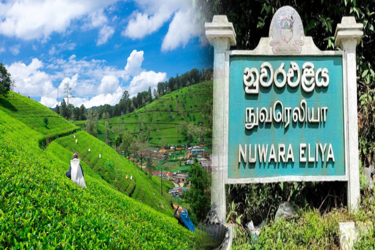 நுவரඑළිය 1,500 ஹெக்டேர் பரப்பளவை பாதுகாக்கப்பட்ட பகுதிகளாக நியமிக்க