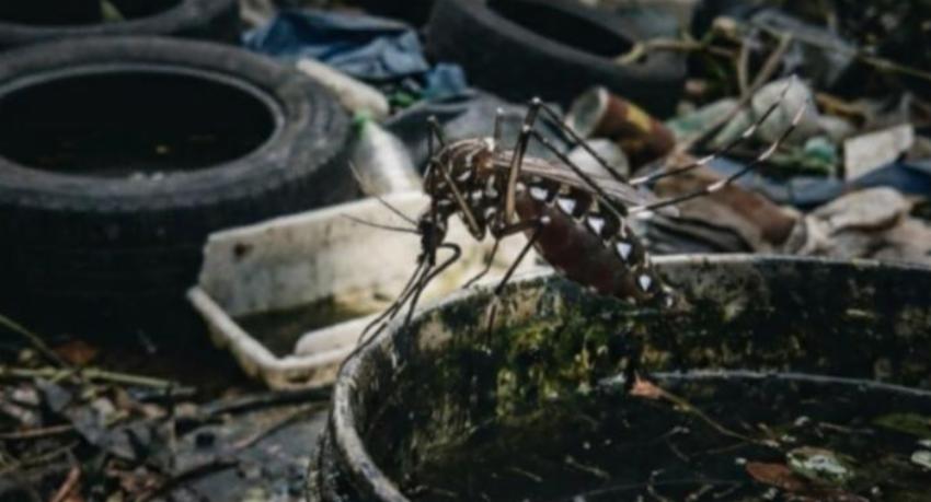 Sri Lanka Launches Community-Based Waste Management Program to Address Dengue Crisis