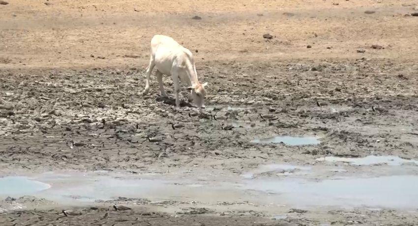 Sri Lanka Faces Intensifying Drought as Sun Reaches Zenith; Over 84,000 Affected