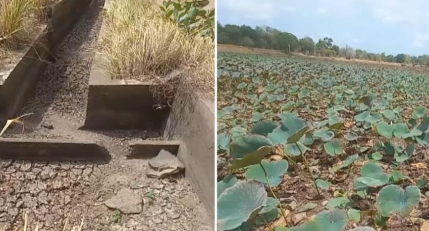 Over 68,000 People Affected as Dry Weather Grips Multiple Districts