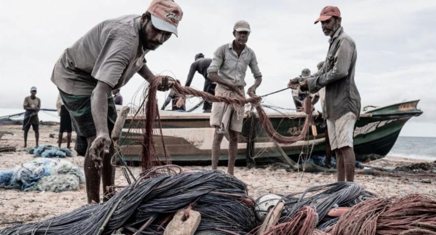 Fisheries Ministry Orders Scientific Study on Declining Fish Catches