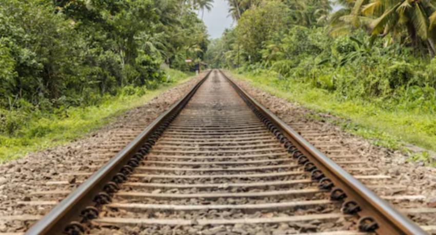 Sri Lanka Receives 10,000 Chinese Rails for Coastal Line Rehabilitation