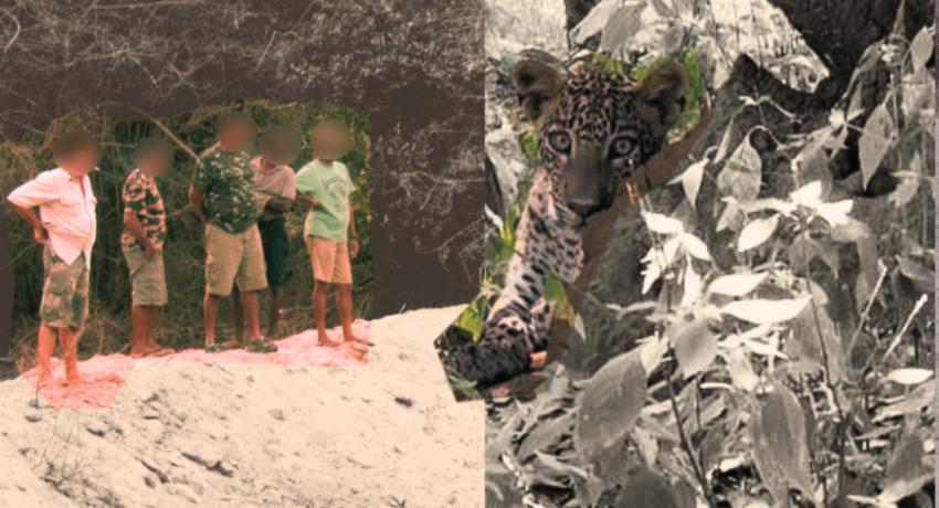 Volunteers Transform War-Ravaged Kumana into Global Leopard Hotspot