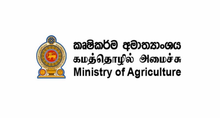 Agriculture Ministry Develops Strategy to Secure Food Supply During El Niño