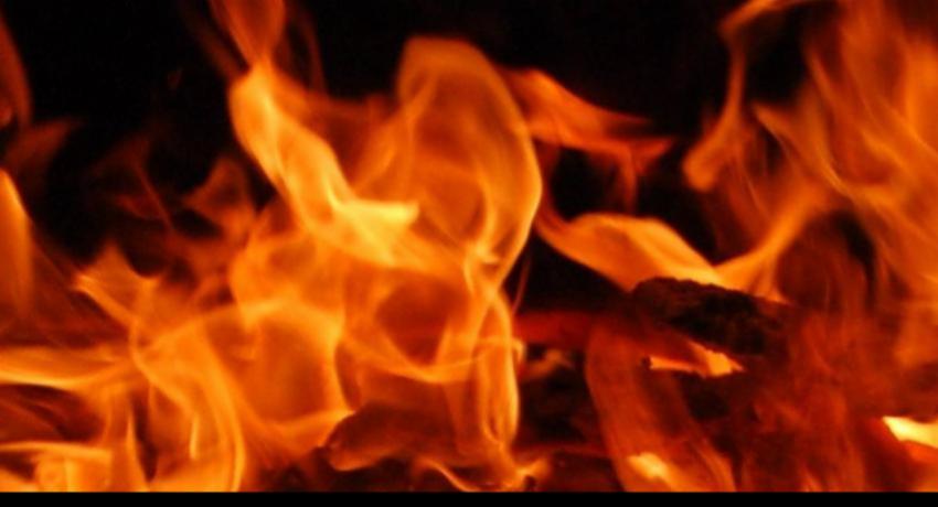 Military Mobilizes to Combat Wetland Sanctuary Fire