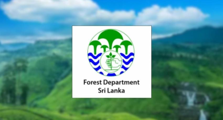 Nuwara Eliya to Designate 1,500 Hectares as Protected Environmental Zones