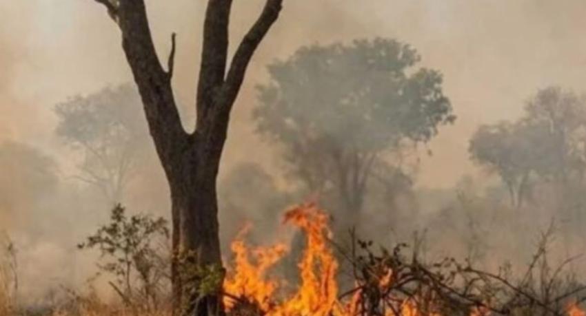 Fire Destroys Nearly 10 Acres at Hurulu Wewa Reserve