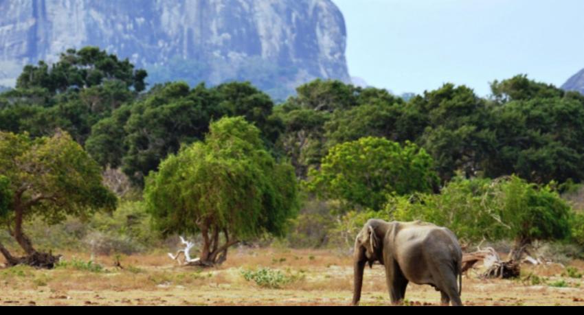 Water Supply Programme Launched for Wildlife in National Parks During Drought Conditions
