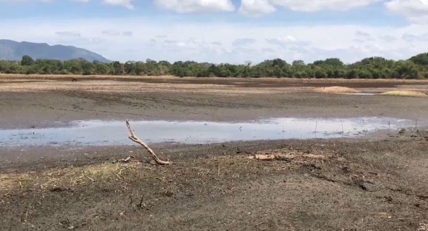 Drought Devastates Sri Lanka's Dry Zone as Water Crisis Deepens
