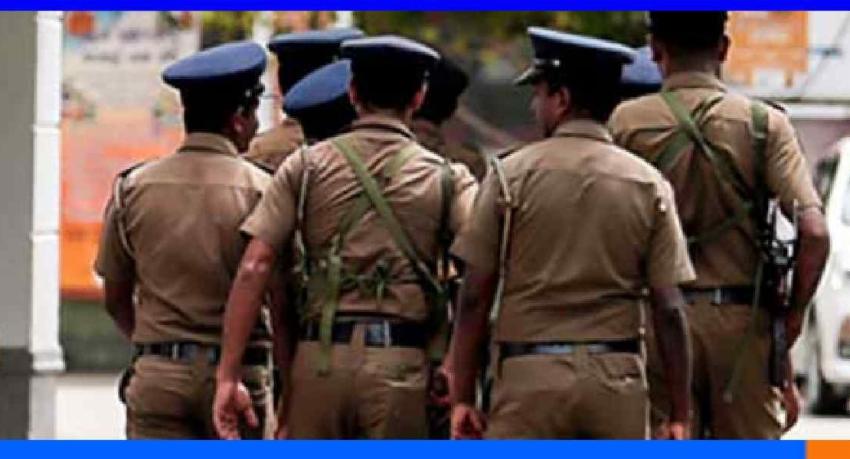 மன்னார் காட்டு நடவடிக்கையில் 11 கிலோவுக்கும் மேற்பட்ட கேரள கഞ്ചാവ് பறிமுதல்