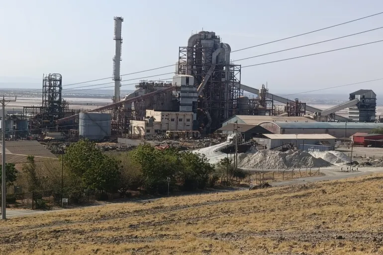 மகாடியில் Tata Chemicals (டாடா ரசாயனங்கள்) நிறுவனத்துக்கு எதிராக கென்யா திரும்பியதன் பின்னணி என்ன?