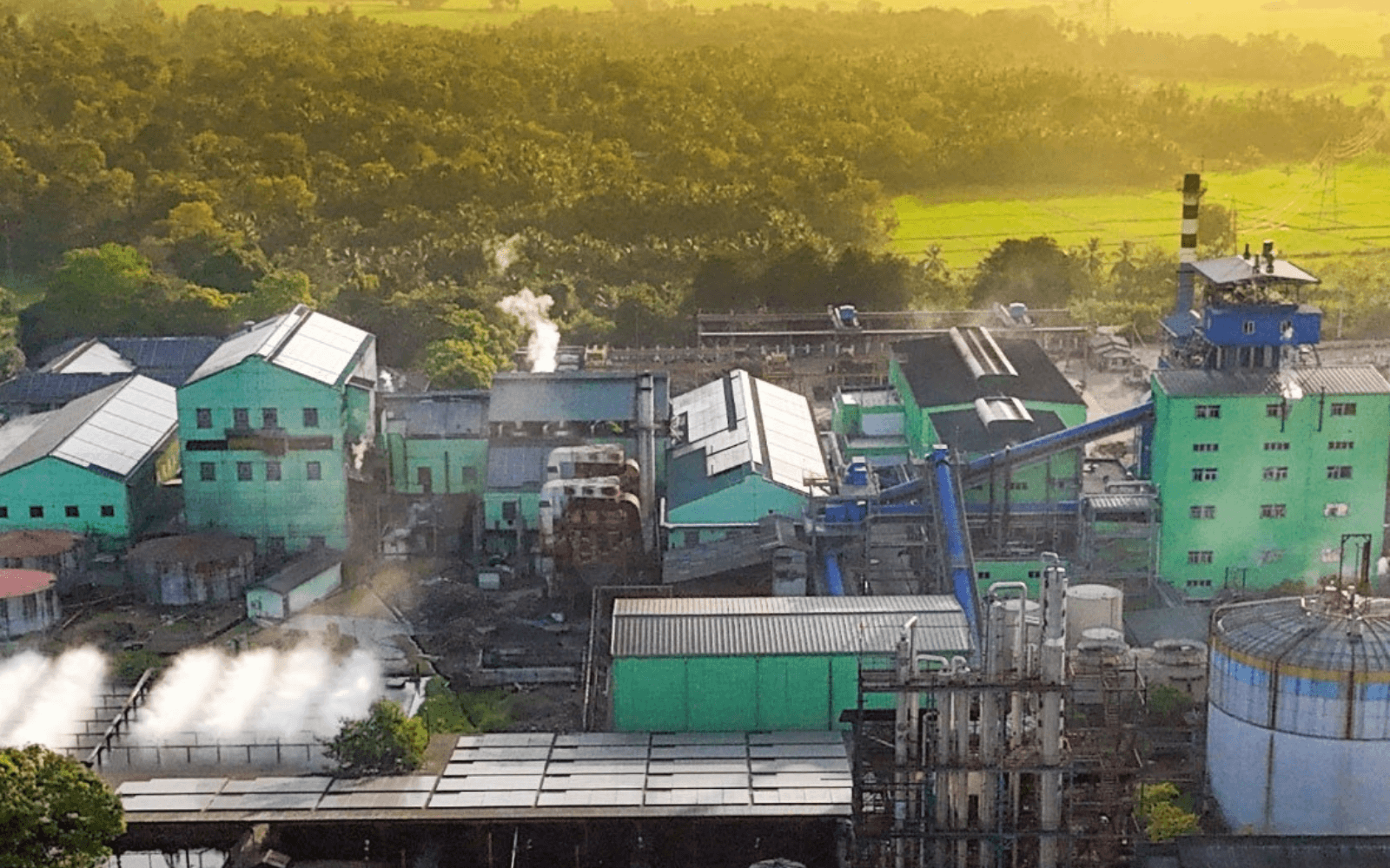 Gal Oya Plantations Strengthens the Future of Sri Lanka’s Sugar Industry and Farming Communities | Colombo Gazette