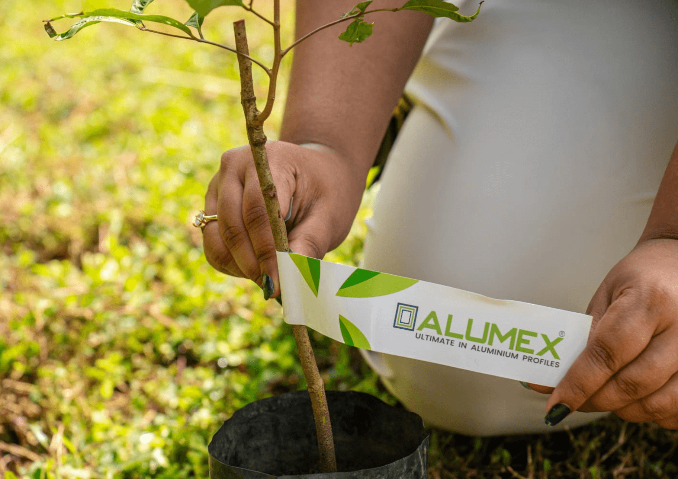 Hayleys Alumex Partners with RDA on Southern Expressway Tree Planting Initiative