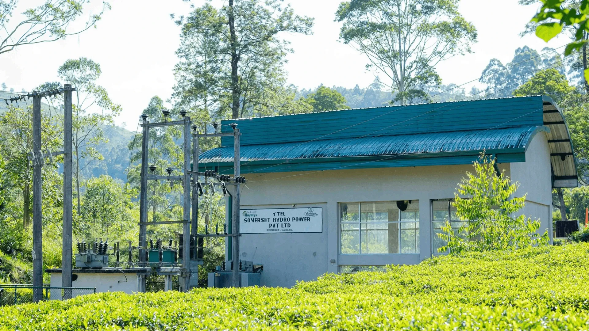 Sri Lanka's First Hydropower-Driven Recycling Facility Opens in Nuwara Eliya Highlands