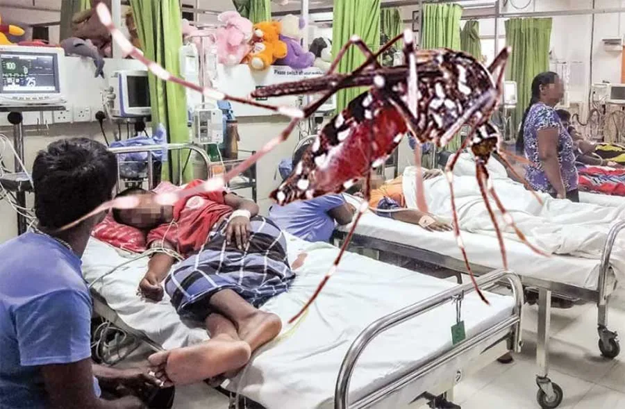 ඩෙංගු රෝග සඩහන් 94,000 ඉක්මවා ගිය අතර මරණ සංඛ්යාව මේ වසරේ 72 ට 達ෙ