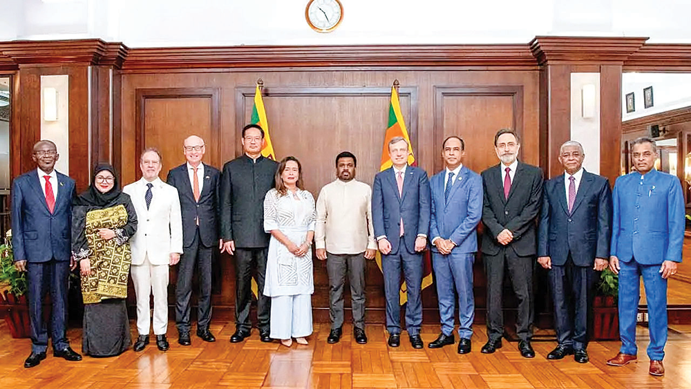 එකොළහ නව දූතවරුන් ष්ට්රපති දිසානායකට විශ්වාසපත්ර සादා කරයි