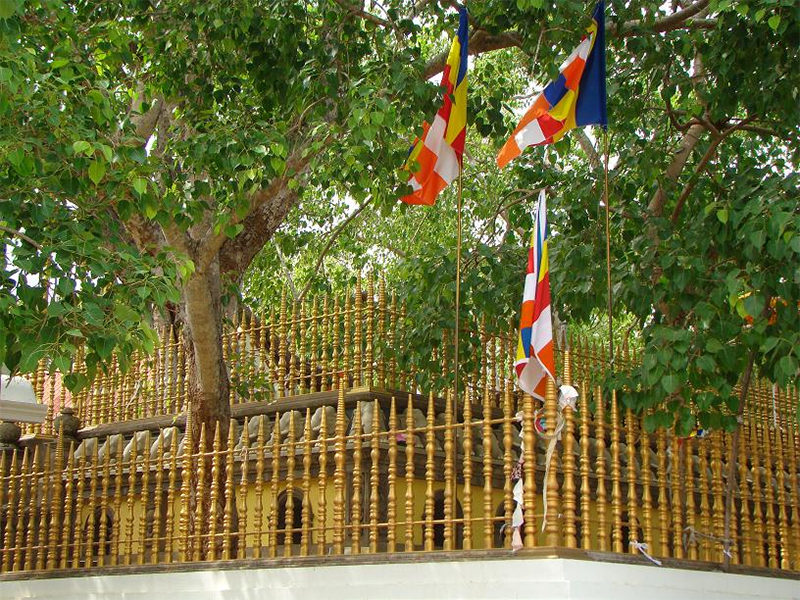 ජනාධිපති අනුරාධපුර ශුද්ධ ප්රදේශ සංවර්ධන योजना සීඝ්ර ආරම්භ කිරීමට නියෝග කරයි