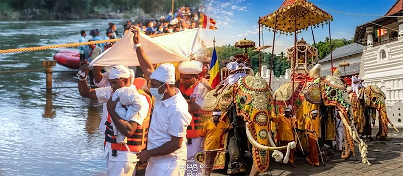 අද දිය කැපීමේ චාරිත්රයෙන් මහනුවර ඇසළ පෙරහැර මංගල්යය නිමවෙයි