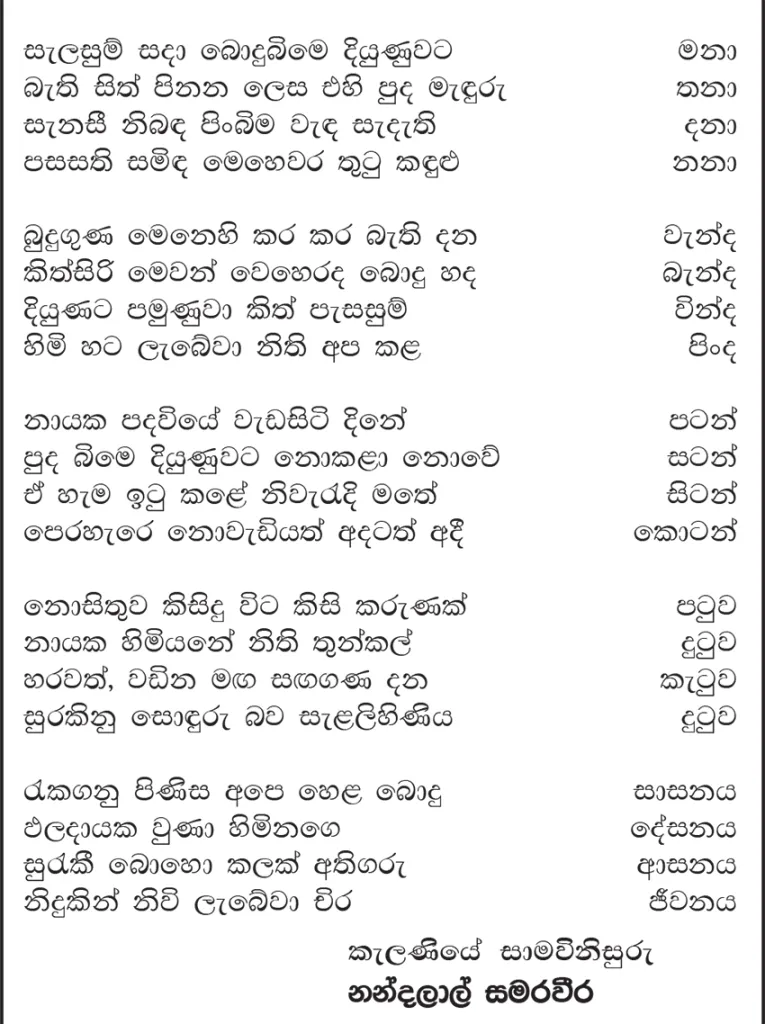 කලණිය ප්‍රධාන පූජකවරු උපන්න දිනට සැමරුම්, බෞද්ධ සංවර්ධන කාර්යක්‍රම පිළිබඳ චින්තනය