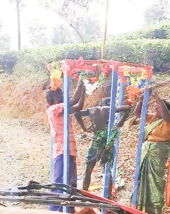 කටුගසා සිටි දරුවා බේරා ගනීමට මව්පිය යුවළක් දැඩි පරිශ්රමයක