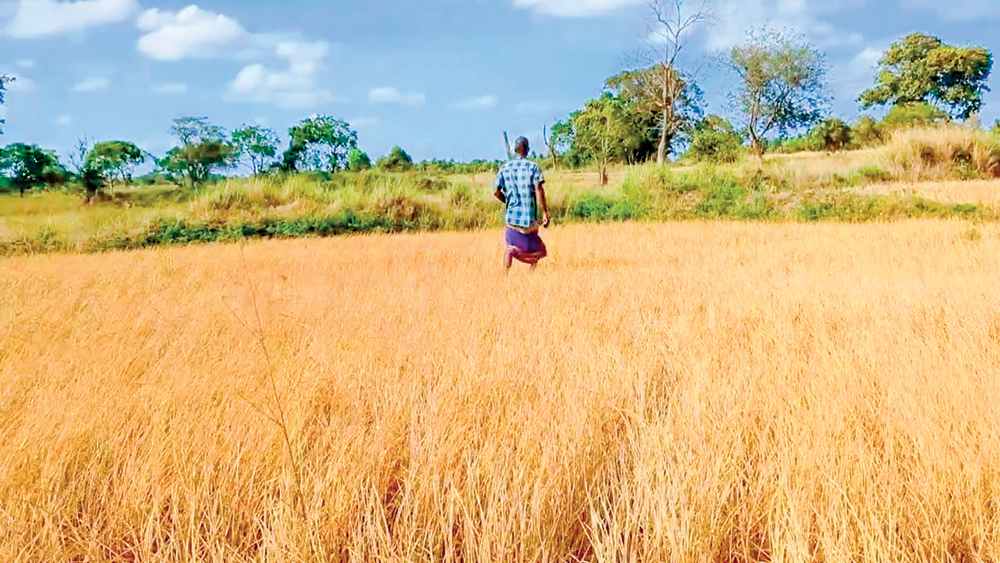 ජනපද පීඩිතයින්ට රුපියල් බිලියන 3ක් බඳවා දීමට රජය නීතිගත කරයි