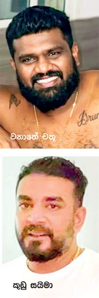 පාතාලයේ බොකු රත් කළ බාසික්ගේ ලෑන්ඩින් සහ වනාතේ චතූගේ අපරාධ සිතියම…