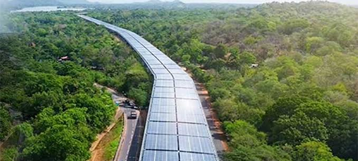 යාල වන සතුන් නියඟයෙන් බේරාගන්න කඩිනම් පියවර ඕනෑ