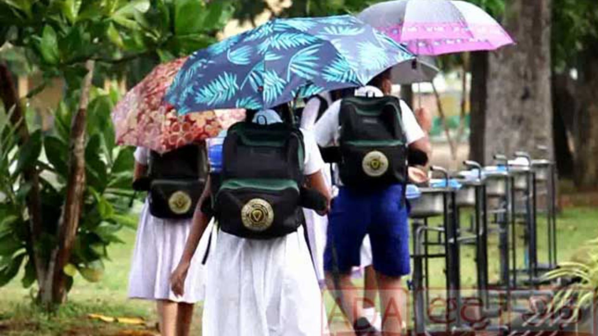 මාතර සහ නුවරඑළිය දිස්ත්රික්කවල පාසල් විවෘතවීම සම්බන්ධයෙන් පාසල්校長්වරුන්ට බලය පවරනු ලැබීම