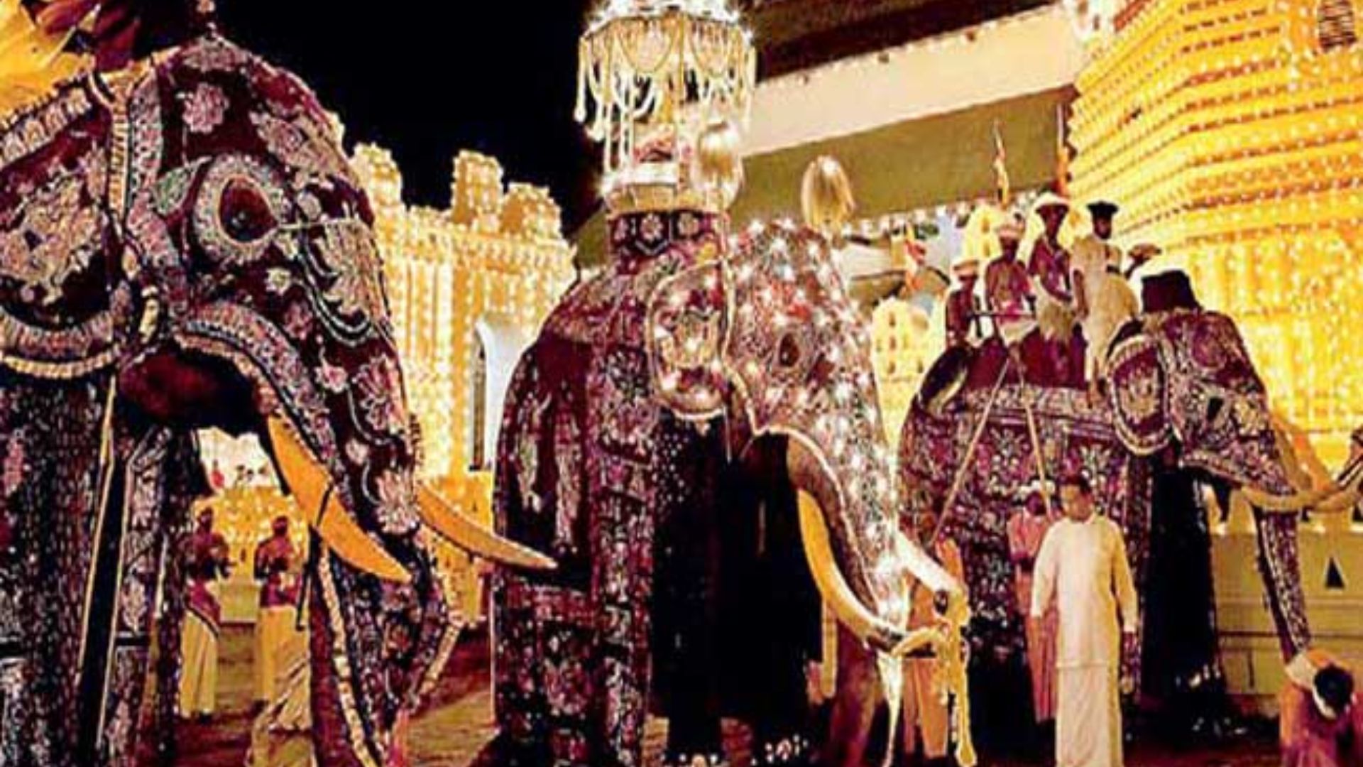 පෙරහැරට අලි ඇතුන් දීම ගැන ආණ්ඩුවෙන් තීරණයක්