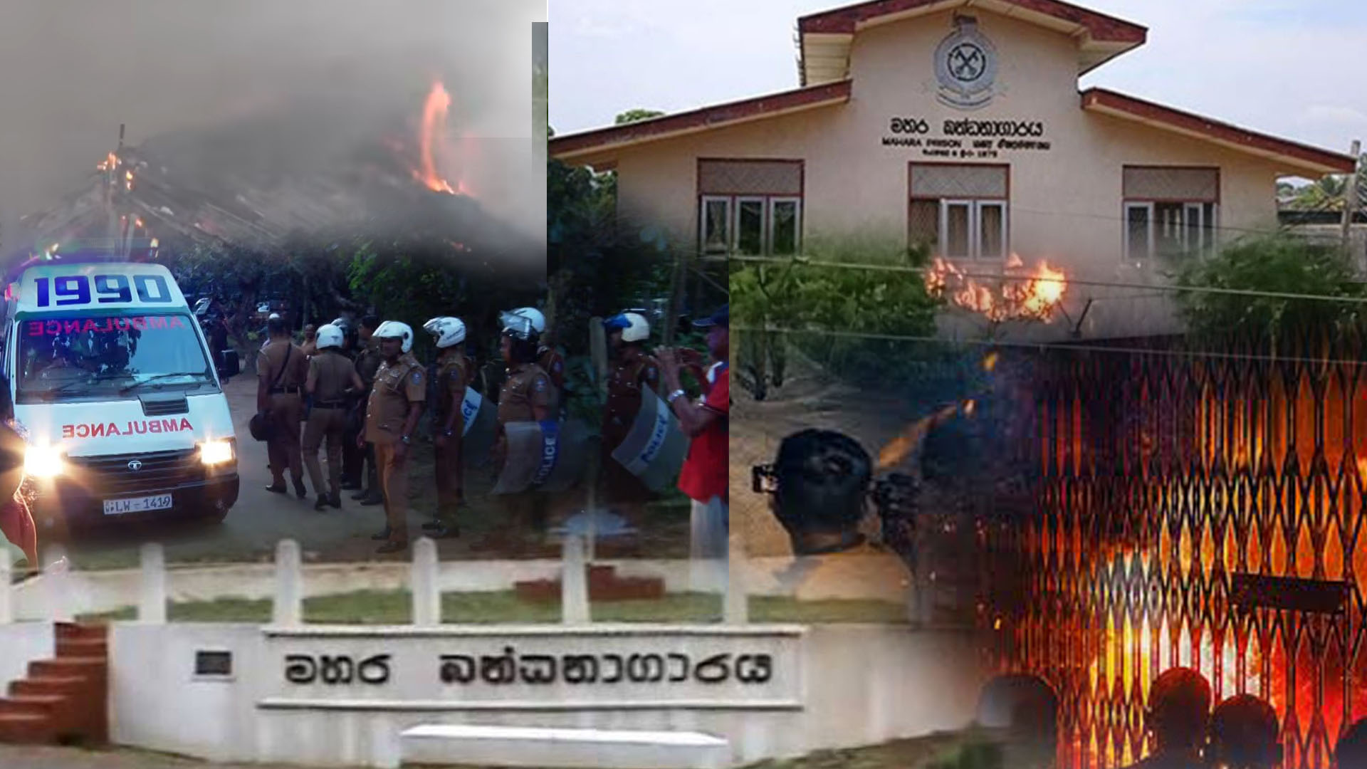මහර බMonitor දේහාස්තිකයෙන් පසු පිළිවෙතක් ස්ථාපිතයි