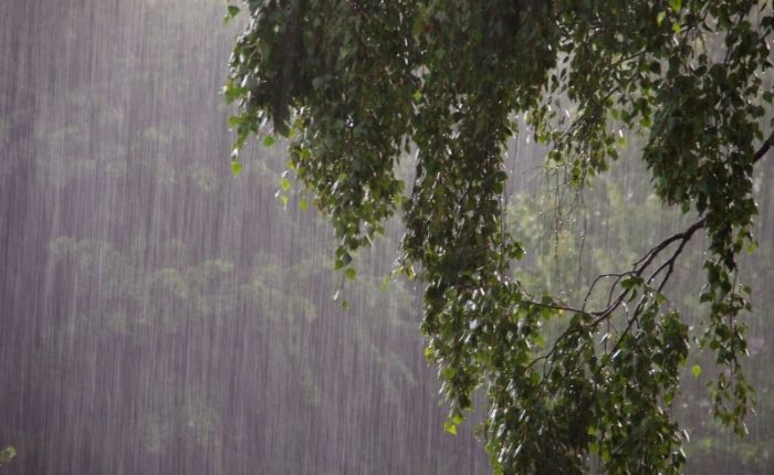 Sri Lanka braces for widespread showers and strong winds as weather system moves across island