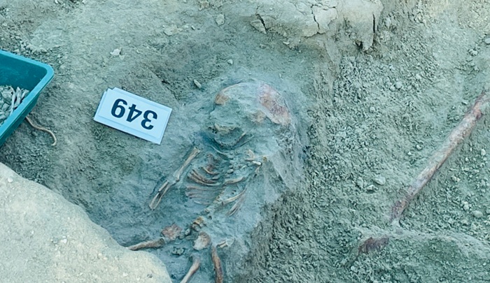 Chemmani Mass Grave Excavations Yield 565 Skeletons as Investigation Continues