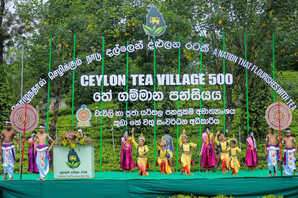 Government Allocates Rs. 237 Million to Expand 'Ceylon Tea Village' Initiative
